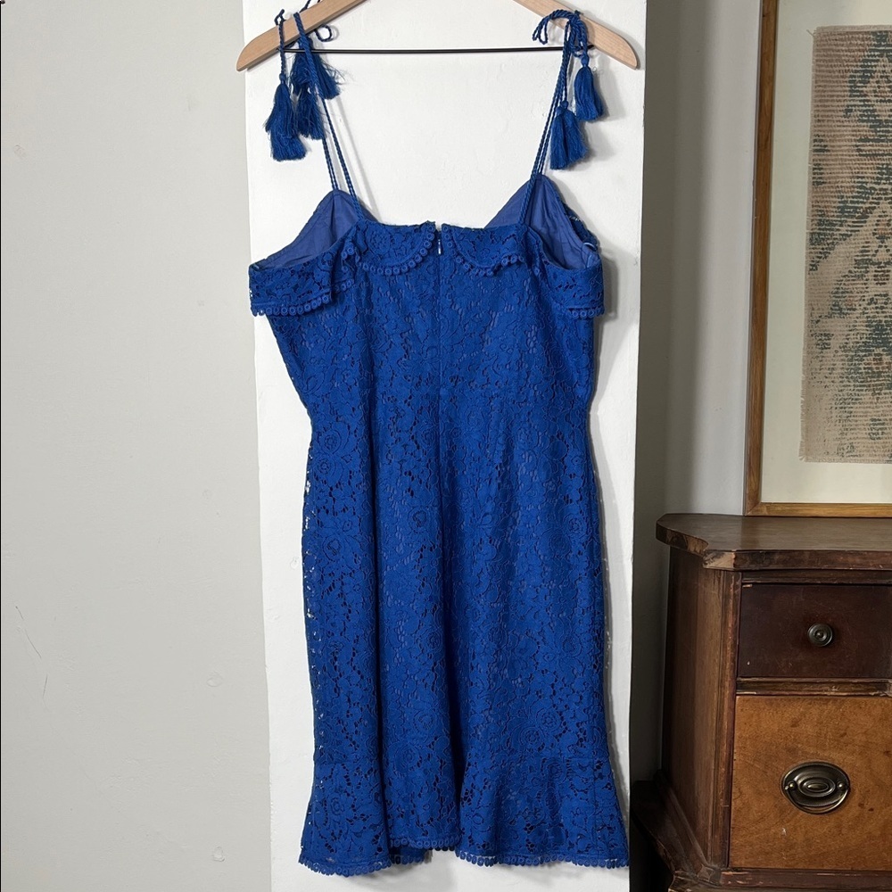 cupcakes & cashmere Blue Lace Dress - Picture 9 of 11